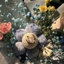 스테이티모가 이미지