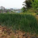 옥정보건진료소 이미지