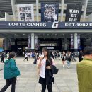 스테프핫도그사직야구장점 | 부산 사직야구장 먹거리 좌석 주차 롯데 원정 직관후기