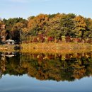 장전정자나무낚시터 | 명소! 충남 계룡 입암저수지, 아는 사람만 아는 그림 같은 수변공원 비경 후기 (ft. 당일치기 여행 코스)