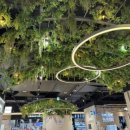 연산트레이더스약국 이미지