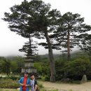 3차순례 - 설악산(雪嶽山) 신흥사(新興寺) 이미지