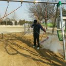 업성초등학교병설유치원 이미지