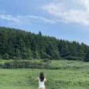 사계올레 이미지