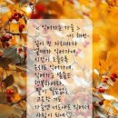 도서관가는길 이미지