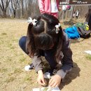 4월 4일 ~ 14일 송북초등학교 전학년 숲 체험 활동 이미지