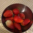 힐링카라반 | 울산 간절곶 감성 힐링 숙소 "해해 카라반" 솔직후기