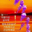 "Sempre libera" - Angela Gheorghiu / 모르시나요- Line Dance 이미지