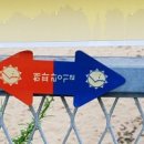 관동팔경녹색경관길 이미지