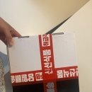 차정2 | 예감정 예감다이어트 추천 2주차 솔직 후기