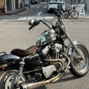 할리데이비슨 883 캬브, 상태최상 좋은 가격 이미지