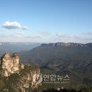 블루마운틴 이미지