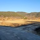 도리1길 이미지