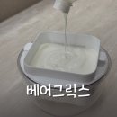 냥이네그릭요거트 | 베어그릭스 2.4L 내돈내산 그릭요거트 요청분리기로 집에서 만드는 방법