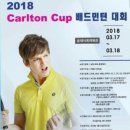 2018 Calton Cup배드민턴대회 이미지