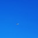 옛날아빠통닭 이미지