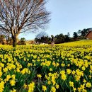 스위스랜드 이미지