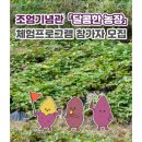 조엄기념관 | 🍠 &#39;조엄기념관 농장 체험프로그램&#39; 참가자 모집