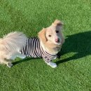 하모중앙로 이미지
