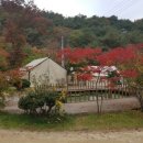 자일랜드 이미지