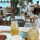 티의수채화TEA.CHAE | [ 메뉴 / 아이스티 ] 티의 수채화 TEA.CHAE 아이스티 메뉴들