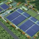 다음태양광발전소 이미지