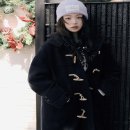 로라 이미지
