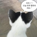 이사벨라스차이나 | [대구] 대구 중구 중식당 추천 | 이사벨라스 차이나 방문 후기