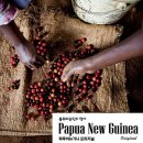 13월의 태양 이미지