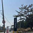 바보형제쭈꾸미 영천점 | 울산 간절곶 맛집 바보형제쭈꾸미 간절곶점 점심메뉴