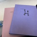 에드비X엑스이헤어 | 마리에드오늘 드레스투어 후기+지정혜택, 당일혜택 공유