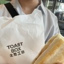 6박8일 2일차 센토사 루지 예매, 슈퍼트리쇼 명당 돗자리, 비보시티 토스트박스, 송파바쿠테 차이나타운
