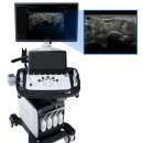 365메디의원 이미지