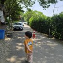 돌속농장 | 용인 한터농원 한터조랑말농장｜서울근교 동물체험 아이와 가볼만한 곳 추천
