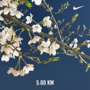 하상바오로의 집 | 춤을 추며 절망이랑 싸울거야.