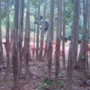 백호농장 이미지