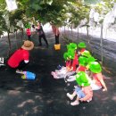 자이사랑어린이집 이미지