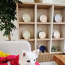 류(Ryu) | 군포 대야미 애견동반 카페 류(RYU) 후기｜너무 예쁜신상 감성카페