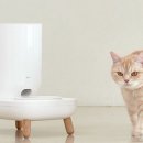 더플러스 이미지