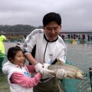 낭만연어 이미지