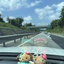 (주)하운드호텔 | 2025 대천 해수욕장 개장 첫 주 후기, 하운드호텔