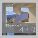 카페델피노 인근 이미지