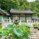 "1시간 30분, 도심 속 계곡, 숲길 걷기 좋다고 소문났어요" 걸으면서 힐링하는 산책로 이미지