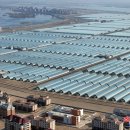 현 농장 이미지