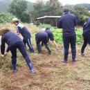 부곡중앙중학교 이미지