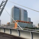고도일병원 | [2021.04.30] 간병일기29 골수이식 1년차의 삶, 그리고 재활전문 고도일 병원의 재활치료 후기