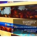 동해바다공인중개사무소 Daum카페