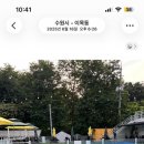 도그플레이풀