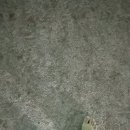 혜성여자중학교 네이버블로그