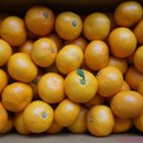 빛마루농장 이미지